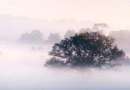 阜新十大自驾游景点排名榜？续写哪几个景点最值得体验