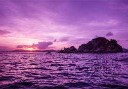 花明楼景区游客调查问卷